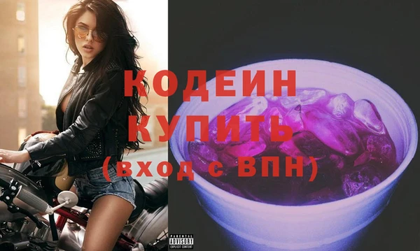 индика Тобольск