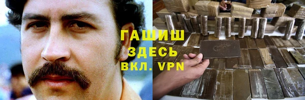 индика Осинники